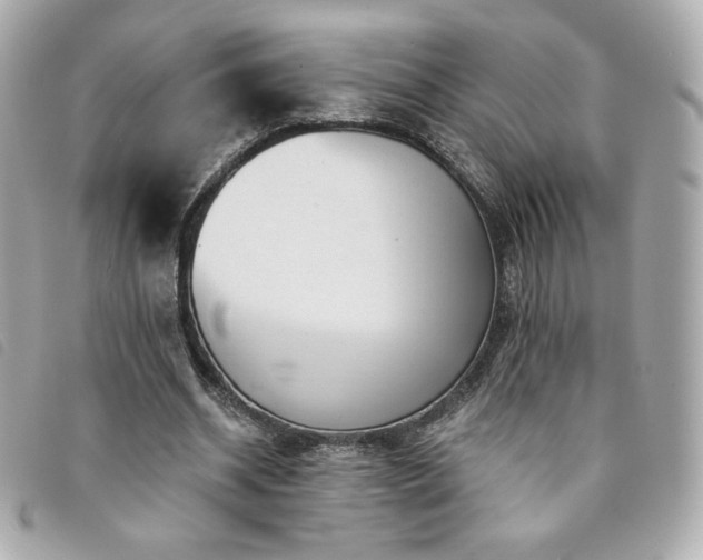 X0000094210534200710261212