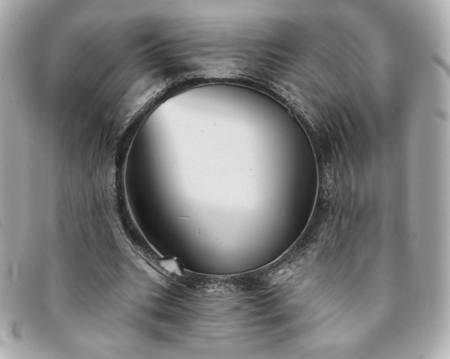 X0000094210535200710261212