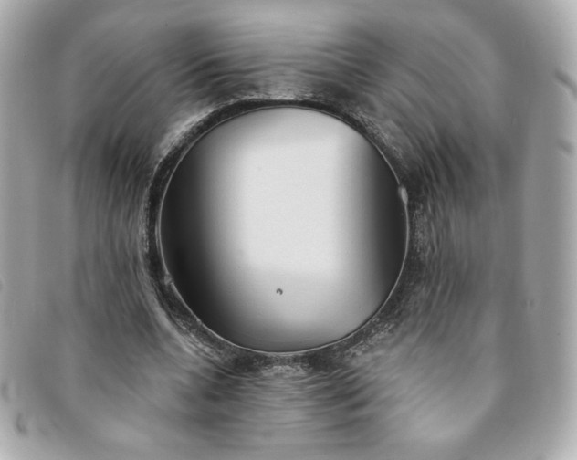 X0000094210536200710261212
