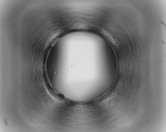 X0000094210538200710261212