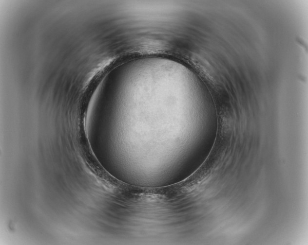 X0000094210539200710261212
