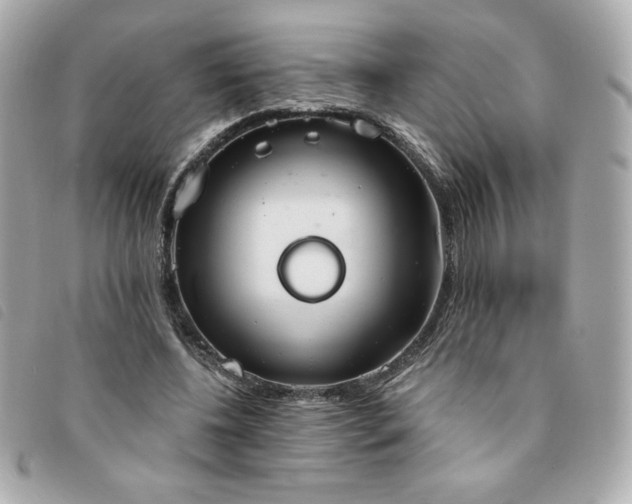 X0000094210540200710261212