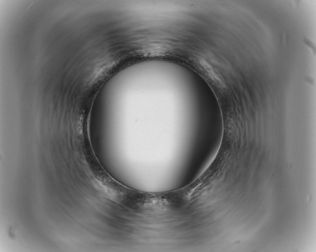 X0000094210543200710261212