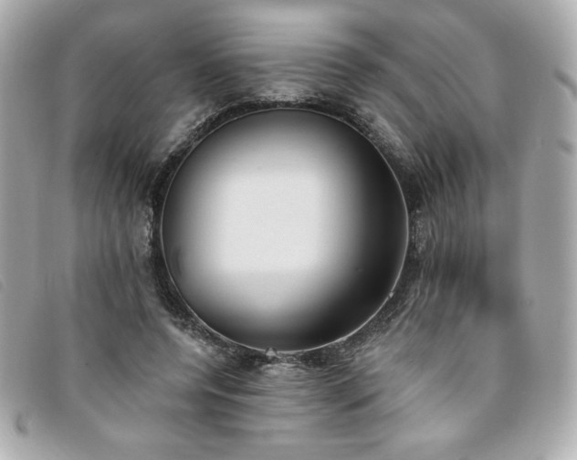 X0000094210544200710261212