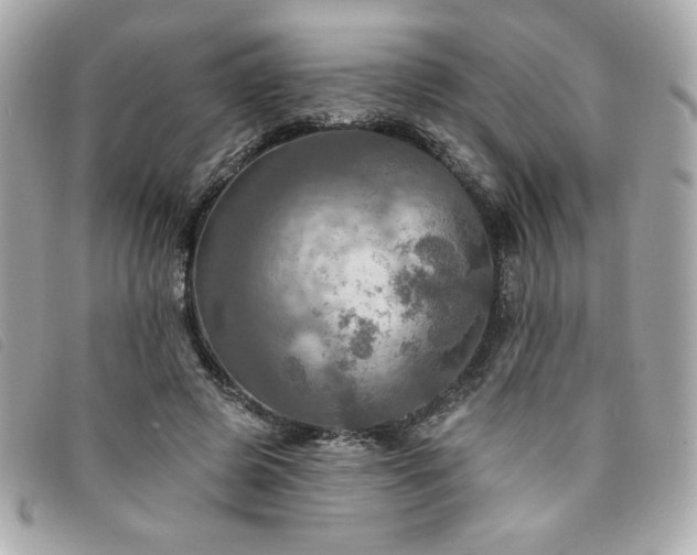 X0000094210545200710261212