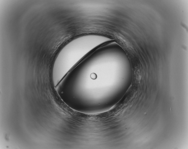 X0000094210546200710261212