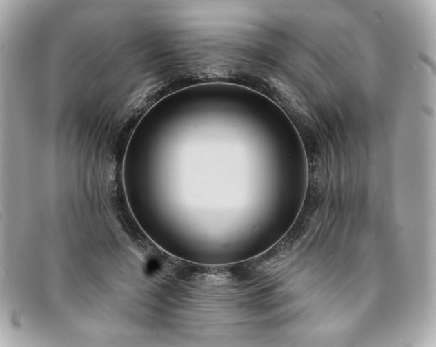 X0000094210548200710261212