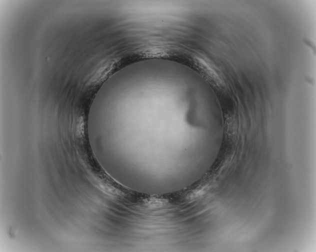 X0000094210549200710261212