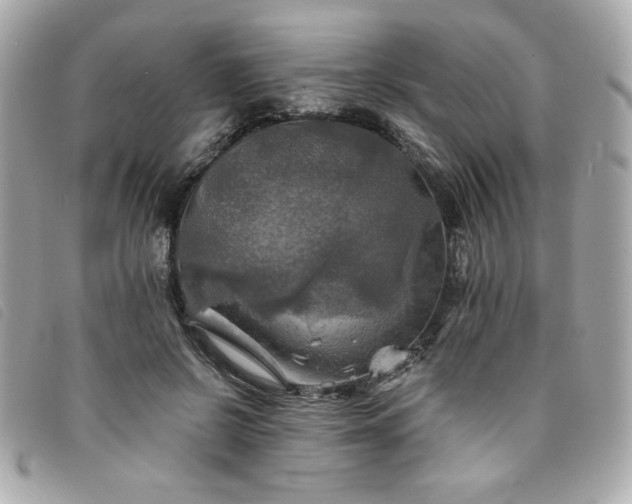 X0000094210550200710261212