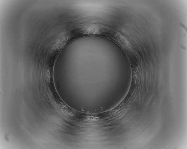 X0000094210551200710261213