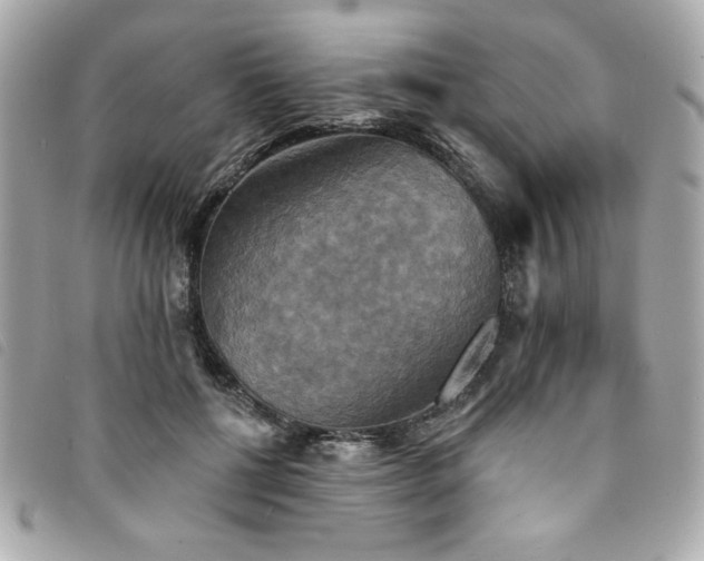 X0000094210552200710261213