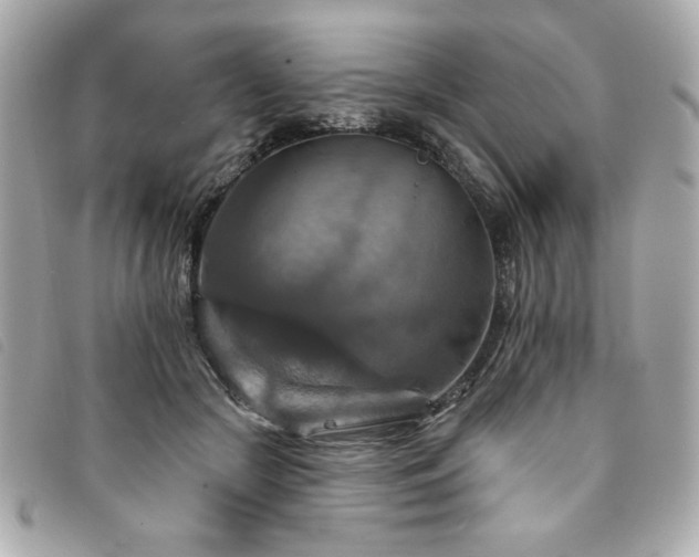 X0000094210553200710261213