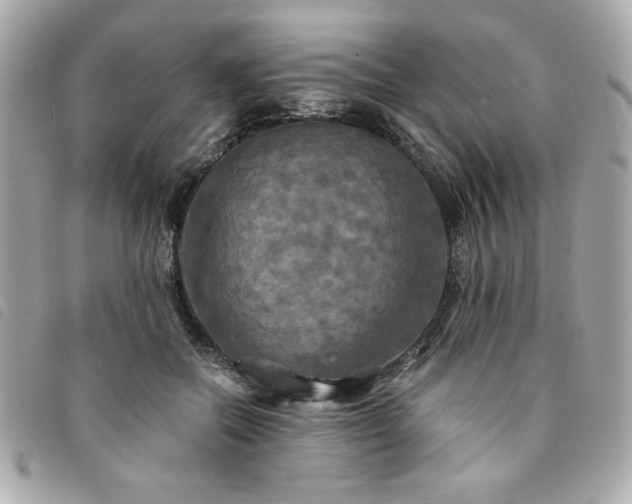 X0000094210554200710261213