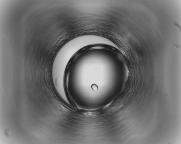 X0000094210558200710261213