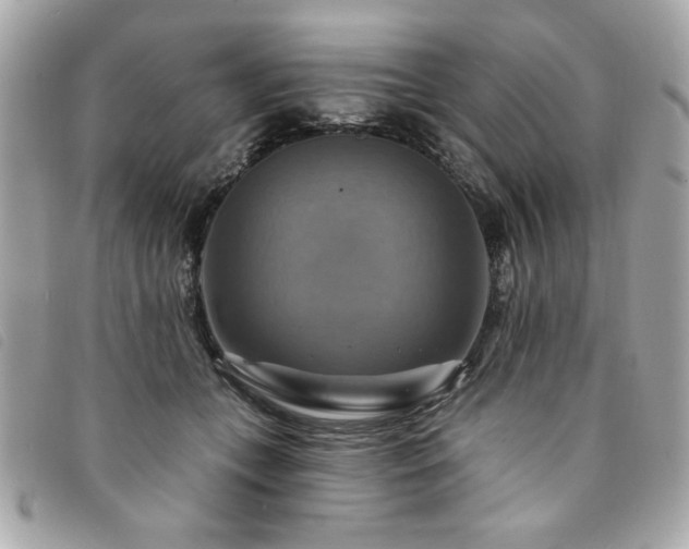X0000094210559200710261213