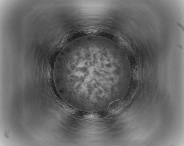 X0000094210561200710261213