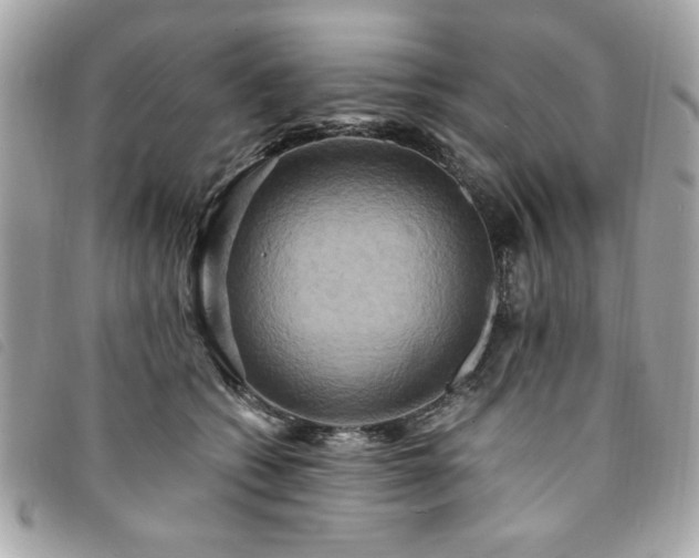 X0000094210562200710261213