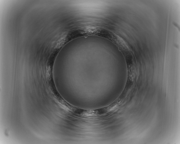 X0000094210563200710261213