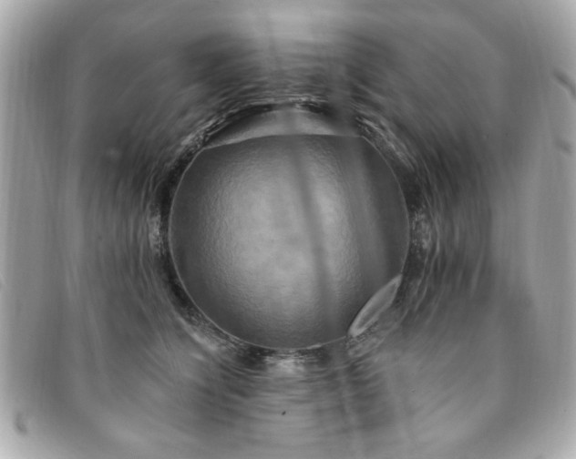 X0000094210564200710261213