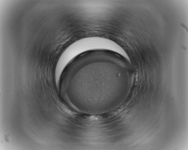 X0000094210566200710261213