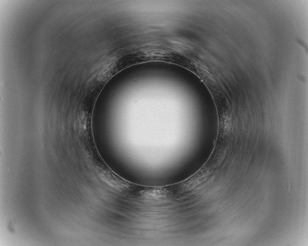 X0000094210567200710261213