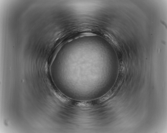 X0000094210568200710261213