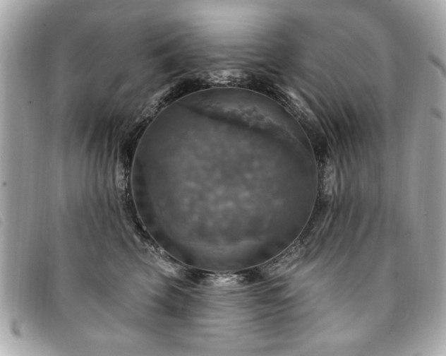 X0000094210569200710261213