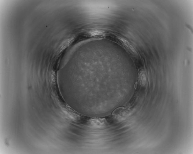 X0000094210571200710261213