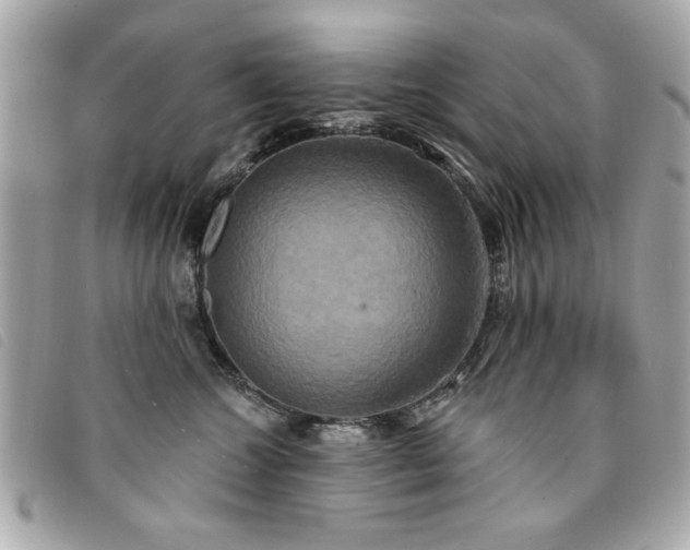 X0000094210572200710261213