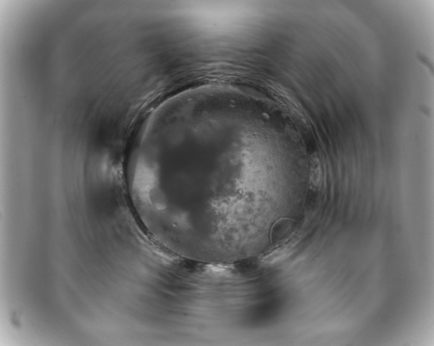 X0000094210573200710261213