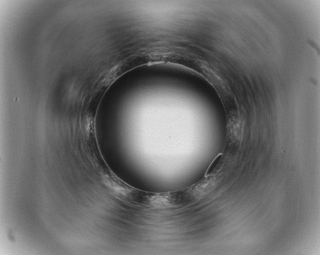 X0000094210574200710261213