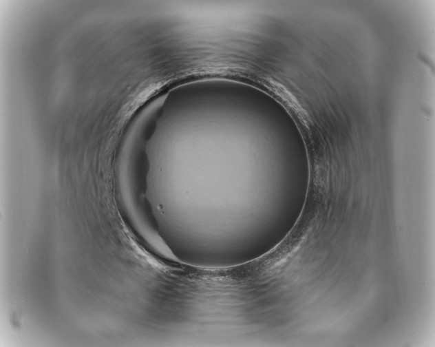 X0000094210577200710261212