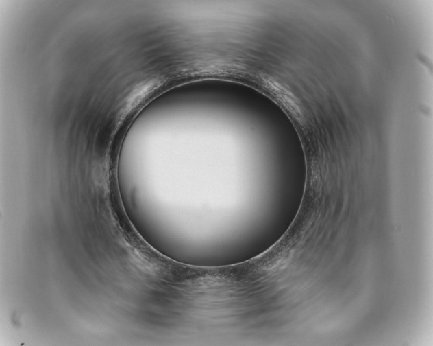 X0000094210578200710261212