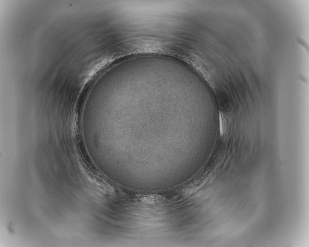 X0000094210579200710261212