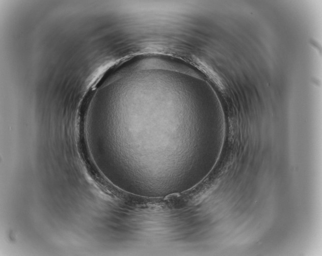 X0000094210580200710261212