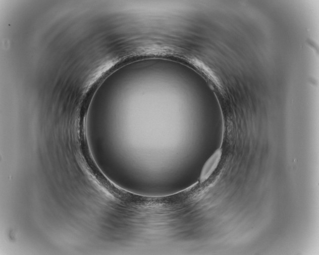X0000094210581200710261212
