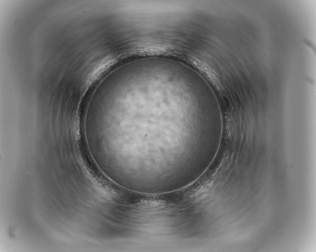 X0000094210582200710261212