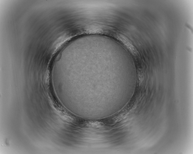 X0000094210583200710261212