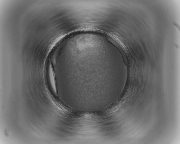 X0000094210584200710261212