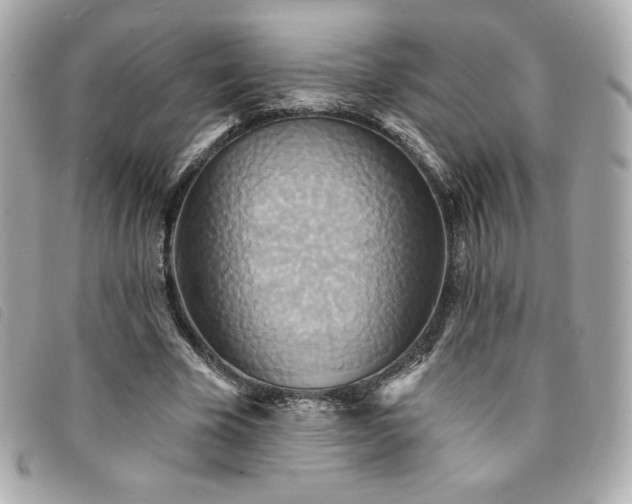 X0000094210585200710261212
