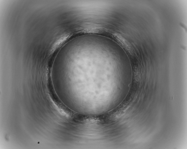 X0000094210586200710261212