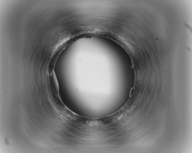 X0000094210587200710261212