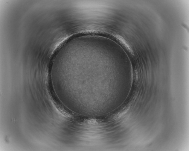 X0000094210588200710261212