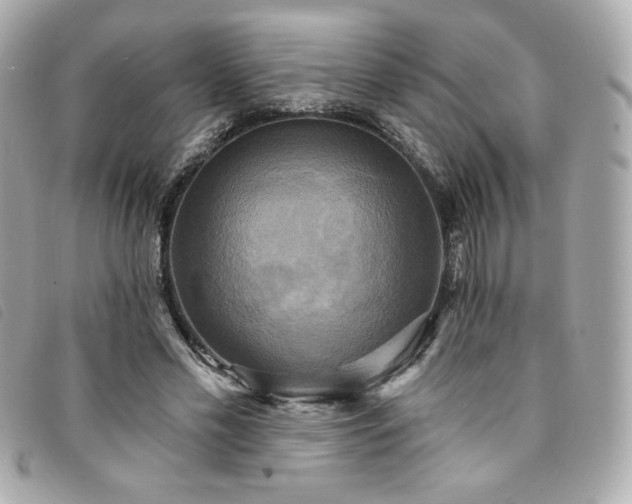 X0000094210589200710261212