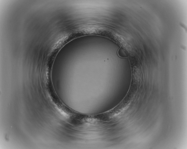 X0000094210590200710261212