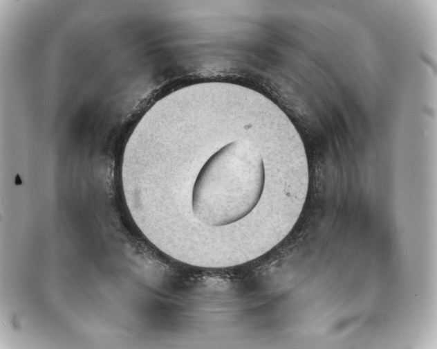 X0000094210592200710261212