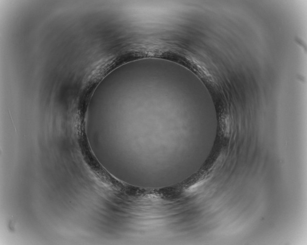 X0000094210594200710261212