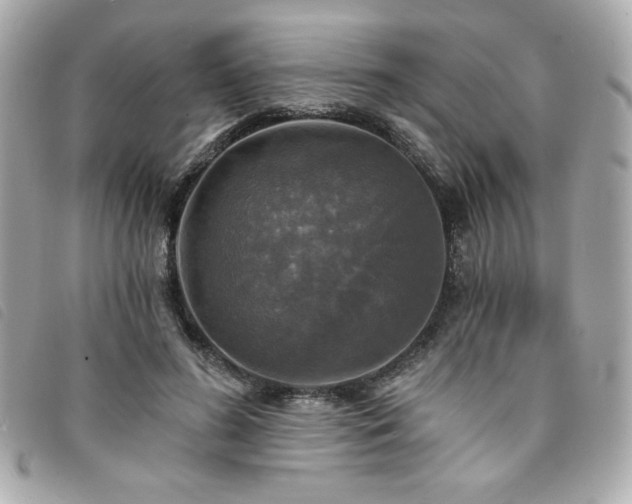 X0000094210596200710261212