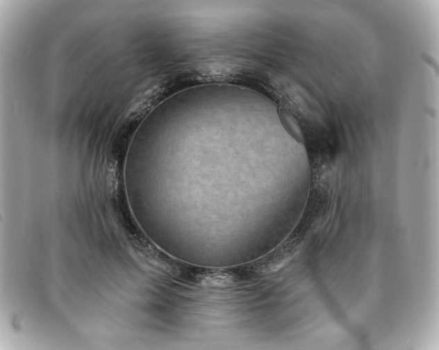X0000094210599200710261212