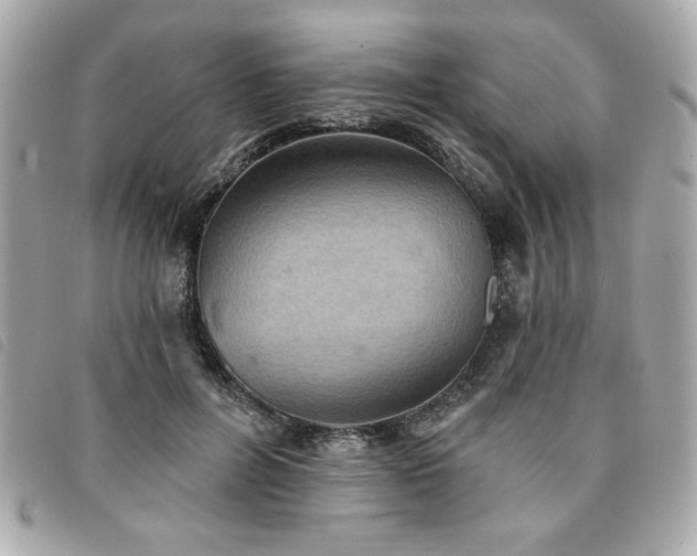 X0000094210600200710261212